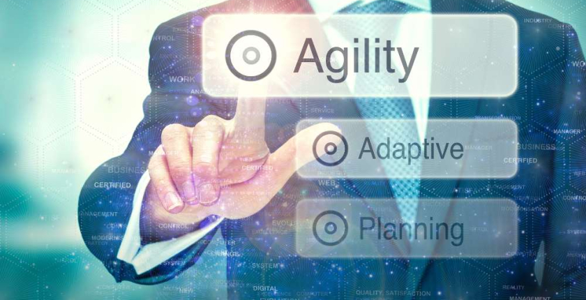 Agile Enterprise Requirements Management